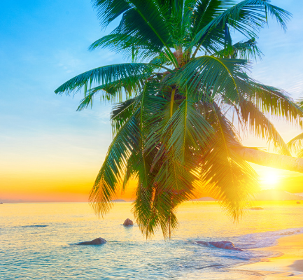Îles sœurs des Seychelles